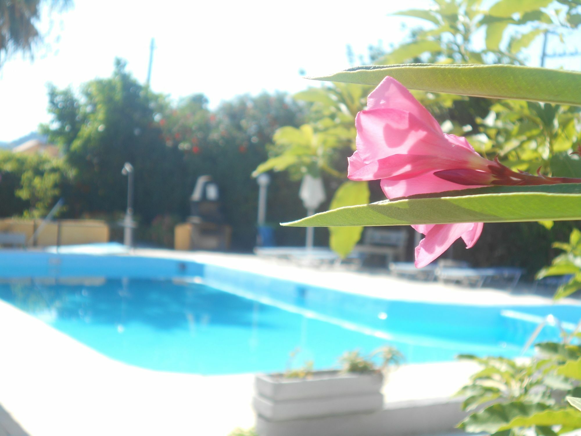 Villa Sofia Jalisos Zewnętrze zdjęcie